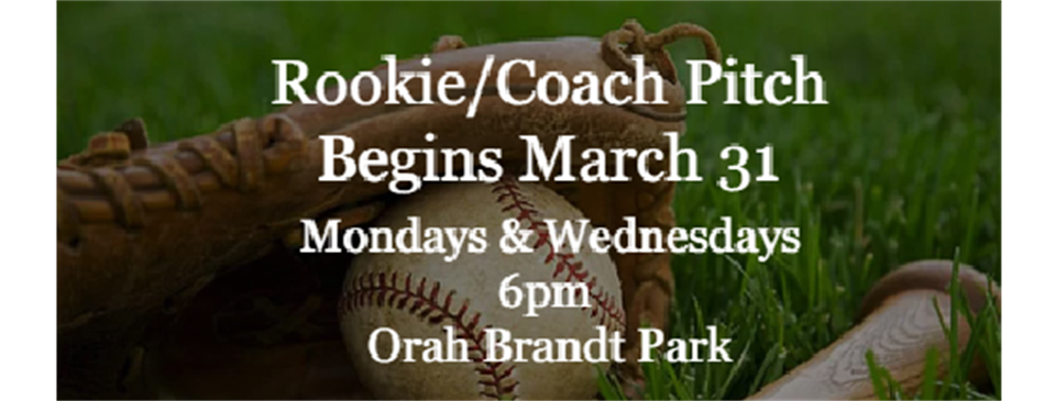 Rookie/Coach Pitch